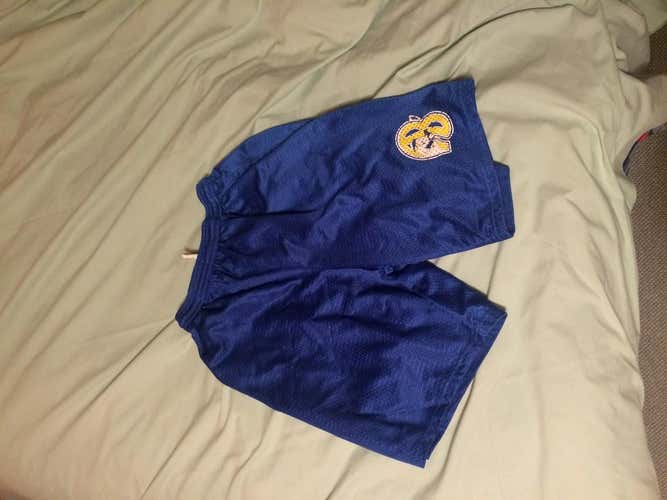 Acton-Boxborough hockey shorts