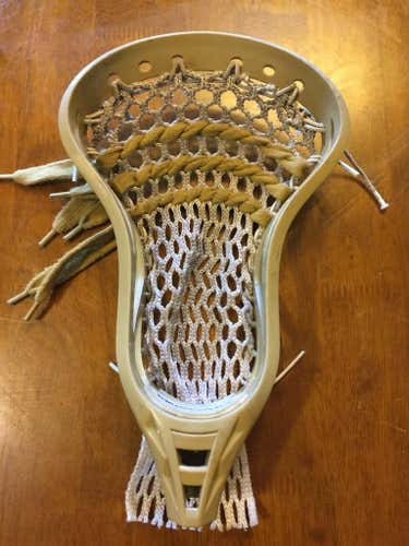Gold Shear Lax CrookX