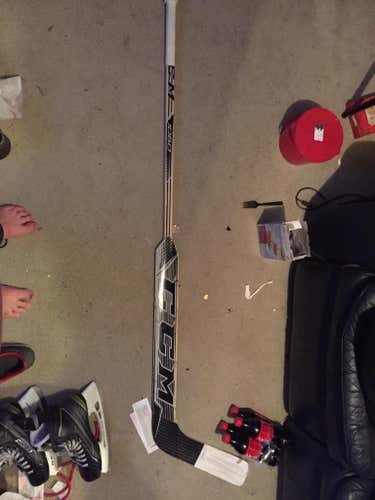 CCM 1060 pro goalie stick 27" Price (P31) curve