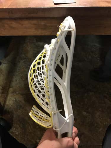 Stx Stallion
