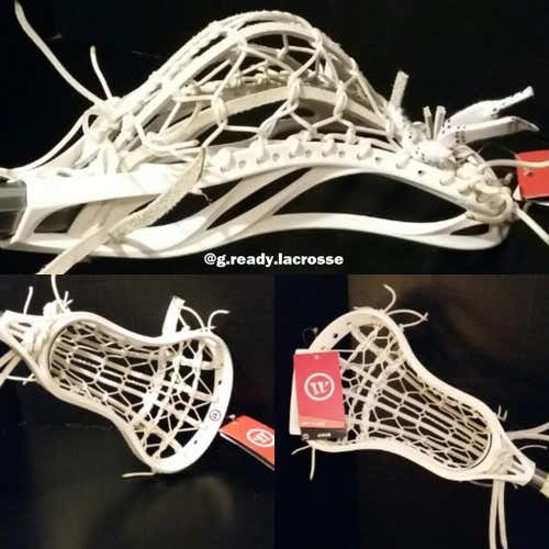 | Warrior Burn X | Stanwick Pita |