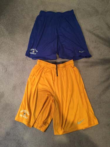 Nike Genesee CC shorts 2 pack