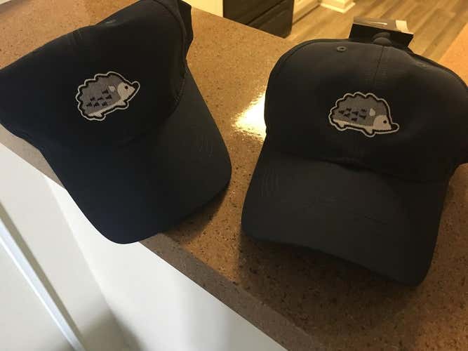 East Cobb Nike Hedgehog Hat