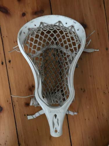 warrior used evolyte x head