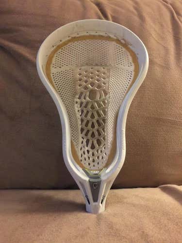 Coaches evo warp