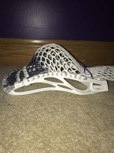 BN Warrior Evo 4 X6 with Navy Fade Throne mesh