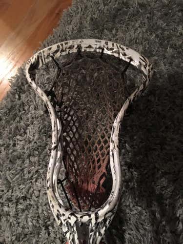 Zebra tribe 7 ghost