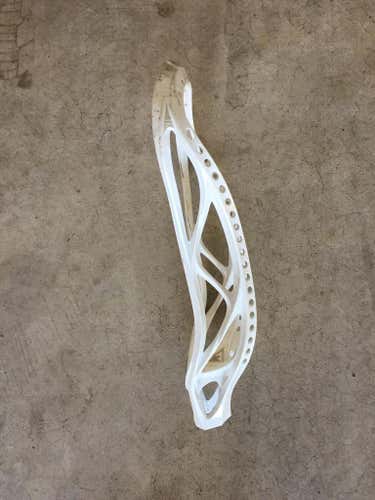 White Warrior Rabil 2