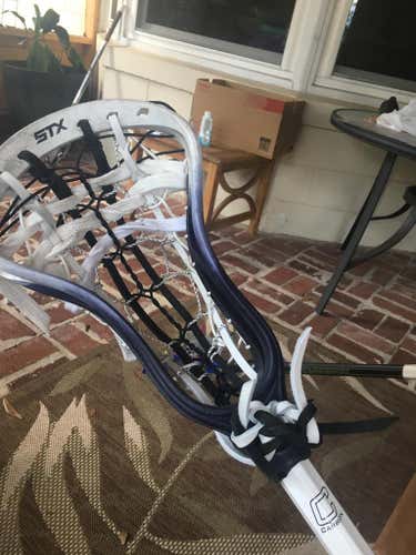 Traditional Stallion