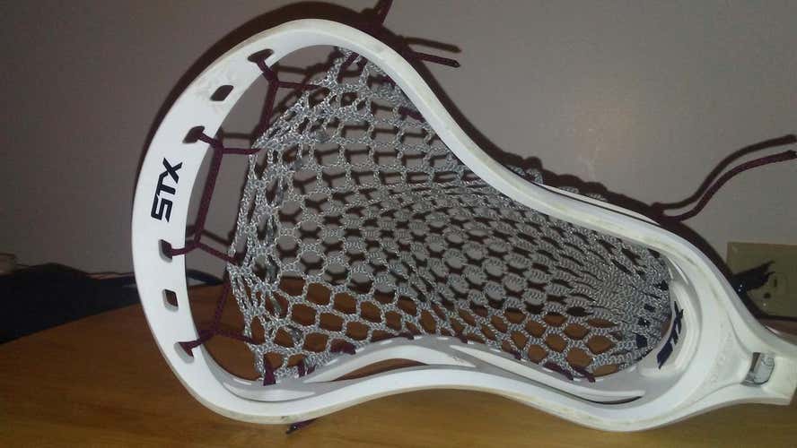 Stx Stallion 550