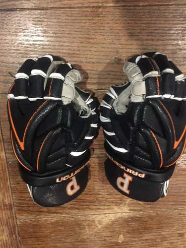 Princeton Warrior Evo gloves