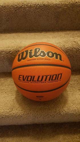 Wilson Evolution (indoor game ball)