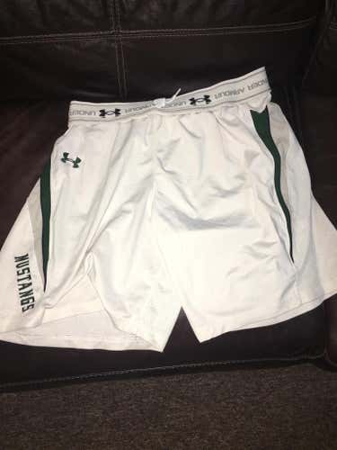 Stevenson shorts