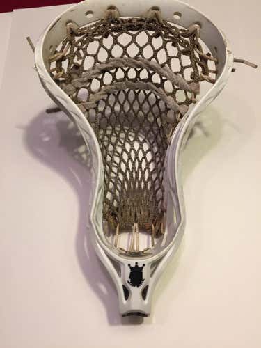 Brine Clutch Elite White