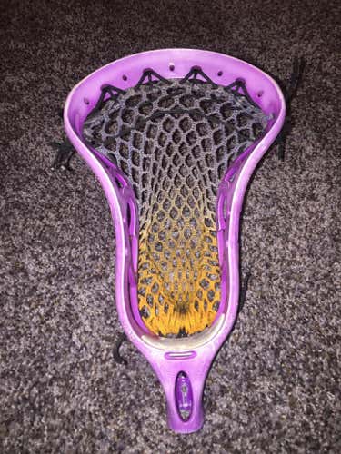 Warrior Stiffi