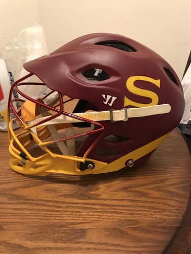 Salisbury Warrior T2 Helmet