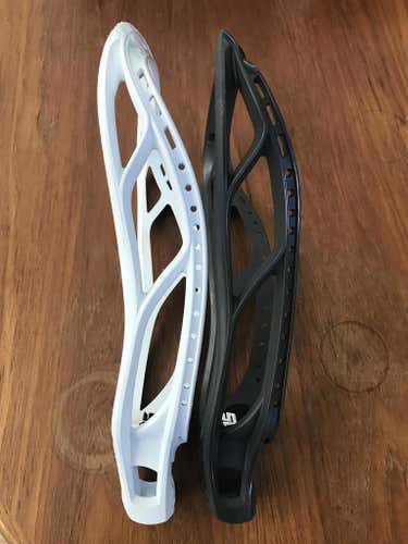STX Stallions