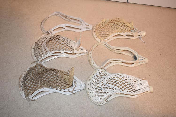 STX, Warrior, Brine 6 Assorted Heads