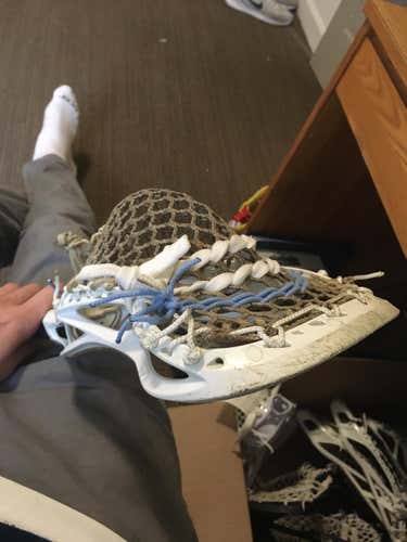 OG Brine Verdict X