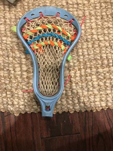 Blue stx stallion