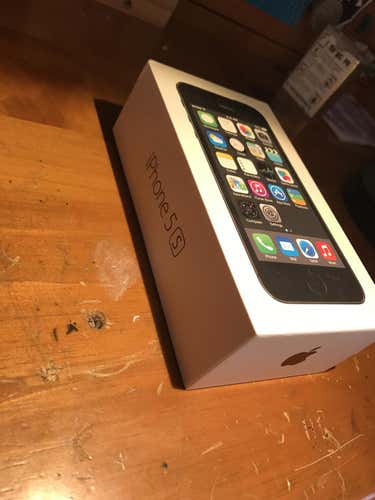 iphone 5s with cases