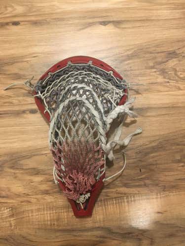 Warrior Evo 3