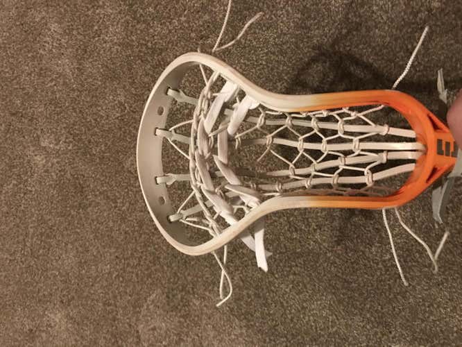 Epoch sequel orange fade