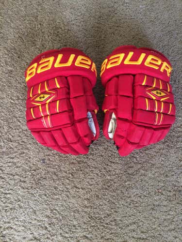 Ferris State Nexus 1000 13'' gloves