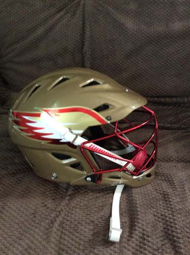 Seton Hill Helmet
