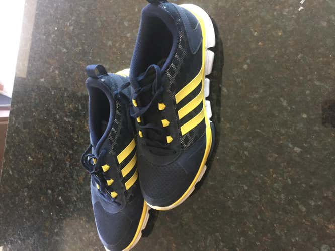 University of Michigan Team Issued Travel Shoes