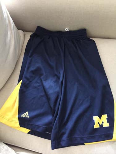 University of Michigan Game Shorts