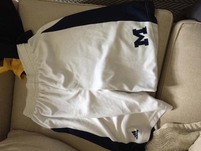 University of Michigan Game Shorts