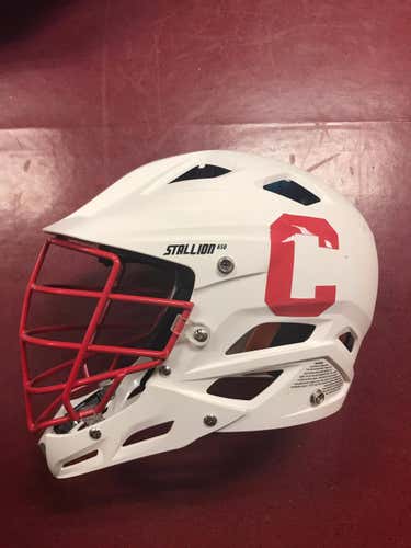 Cornell Big Red Stallion