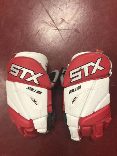 Cornell Stallion Gloves