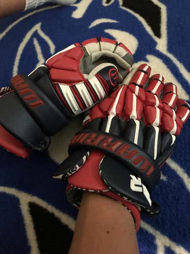 BN 12" Warrior Regulator 2 Rabil Cannons edition gloves (bought)