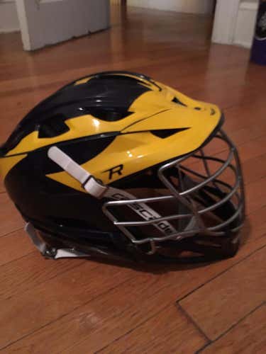 Michigan Wolverines Cascade R