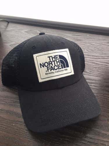 (LIKE NEW) The North Face Curved Brim hat