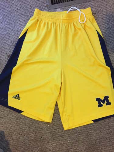 University of Michigan game shorts