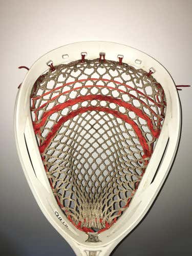 Warrior Nemesis Lyte