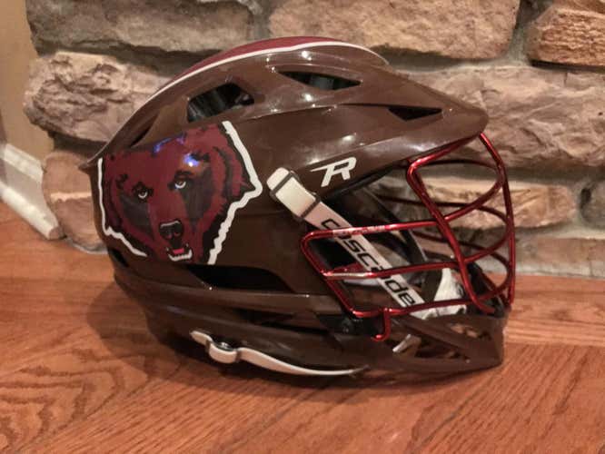 Brown Bears Cascade R