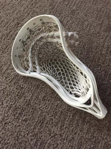 Warrior Rabil 2