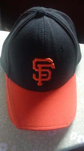 New Era 39THIRTY MLB San Francisco Giants Batting Practice Cap