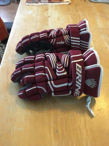 Used SUNY Potsdam Brine Silo Gloves