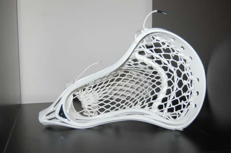 Warrior rabil 2