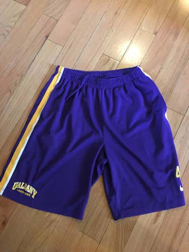 Albany Team Shorts
