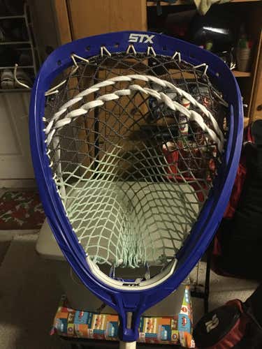 VVVGC Blue STX shield strung