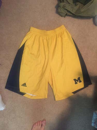 Official Michigan 2016 Game Shorts