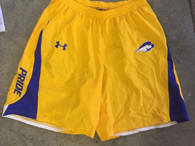 Hofstra Team Shorts
