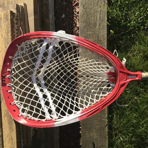 Shield with Grizzly mesh