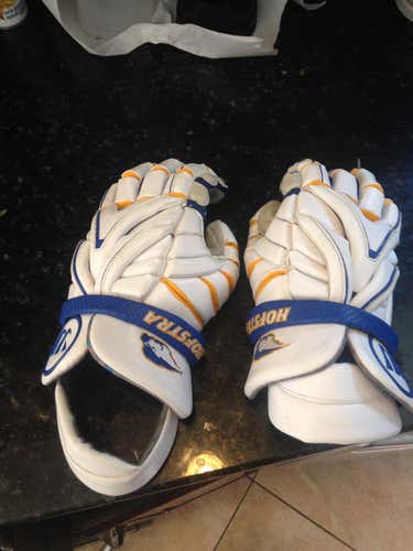 Hofstra Warrior Evo Gloves